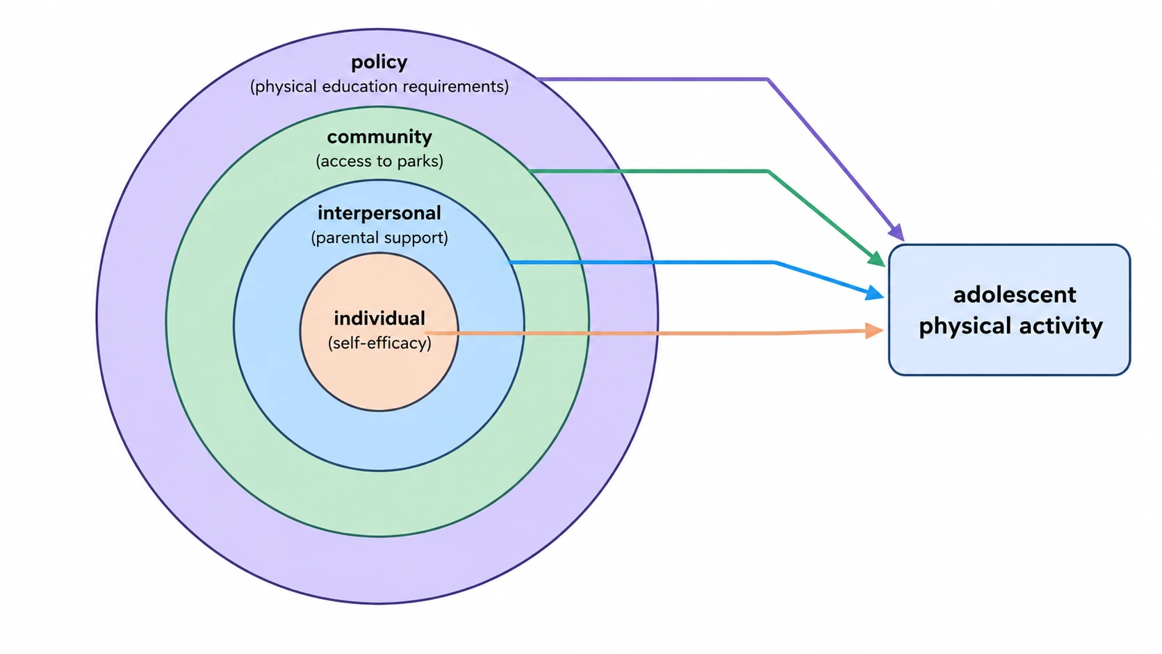 Conceptual framework example: social-ecological model for public health research