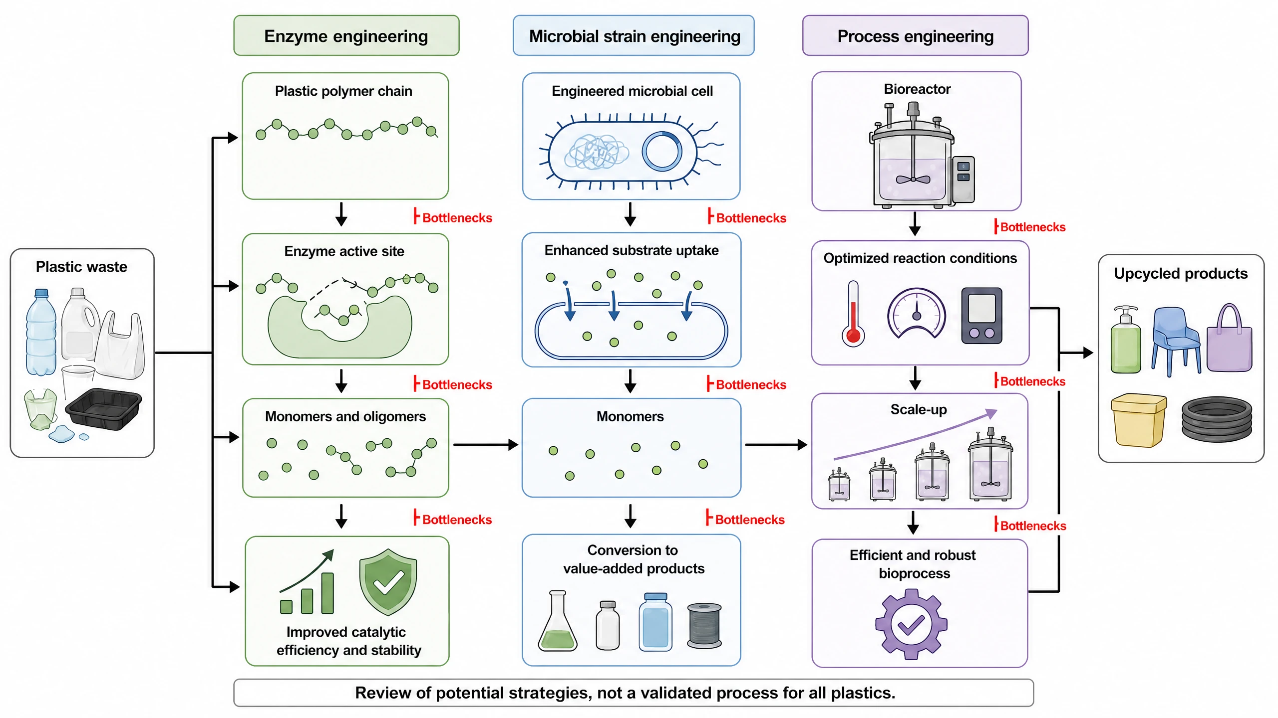Graphical abstract example: Biological plastic upcycling
